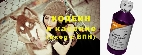 эйфоретик Богданович
