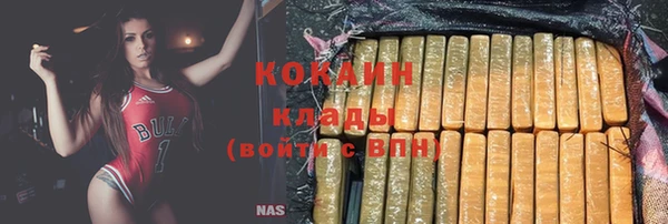 эйфоретик Богданович