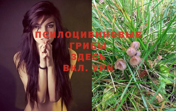 марки nbome Богородицк