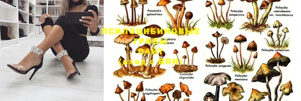 марки nbome Богородицк