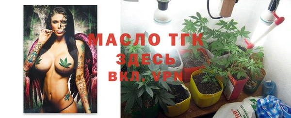 эйфоретик Богданович
